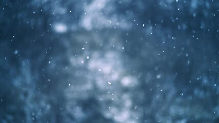 Slow motion of real snow falls on dark forest background, It is snowing in cold winter in peaceful nature