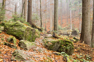 Resovske waterfalls Jeseniky mountains the Czech republic