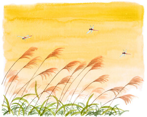 アナログ水彩夕焼け空とすすきと赤とんぼ © 山田理矢