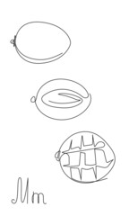 Mango one line fruit. Vector set. minimalistic mango, half and sliced peace of exotic tropical fruits.