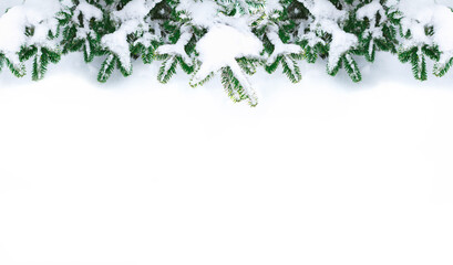 Festive background of Christmas tree branches in the snow. The theme of Christmas and New Year. Flat layout, top view
