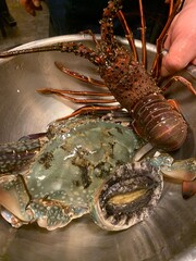 海老と蟹