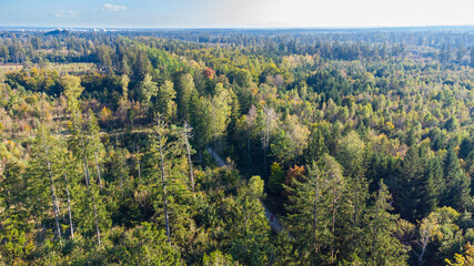 Perlacher forst forest with Munich in the background