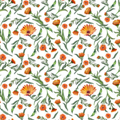 Seamless pattern with orange flowers and green calendula leaves on a white background, hand-painted in watercolor. Suitable for printing textile design, scrapbooking, wallpaper and paper.