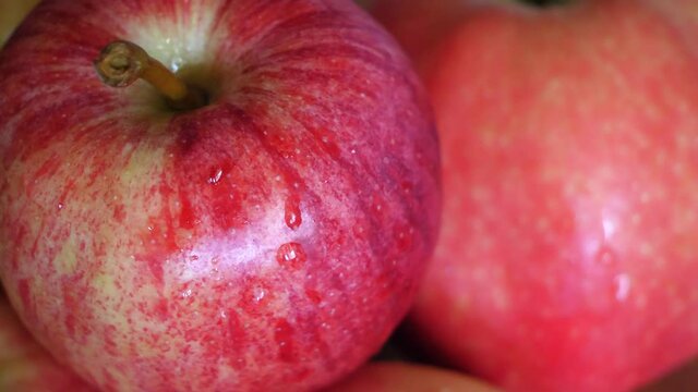Several apples of the gala variety close-up video. Drops of water on the apple peel.
