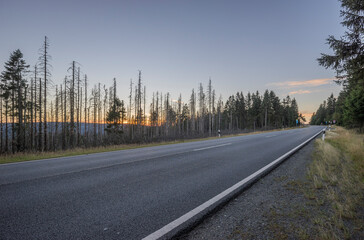 Empty asphalt road in Harz National Park at dusk