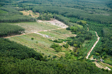 view of vineyards