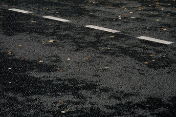 dotted white road markings on black asphalt with fallen leaves