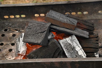 北海道の庭でバーベキューをする前の炭で火おこし