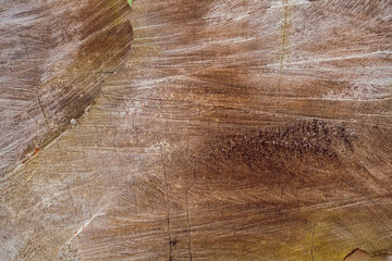 Piękne drewniane tło, brązowa zniszczona tekstura drzewa. 