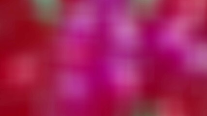 red christmas background