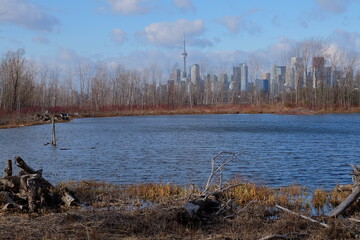 Park late autumn windy day big city in the background Toronto