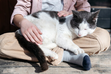 Low section of boy sitting with cross legged while cat sleeping on him, Tarusa, Russia