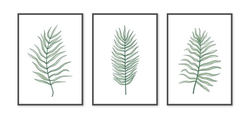 Trend poster set with palm leaf. Botanical wall art vector set. Minimal and natural wall art. Boho foliage drawing. Abstract Plant Art design for print, wallpaper, cover.