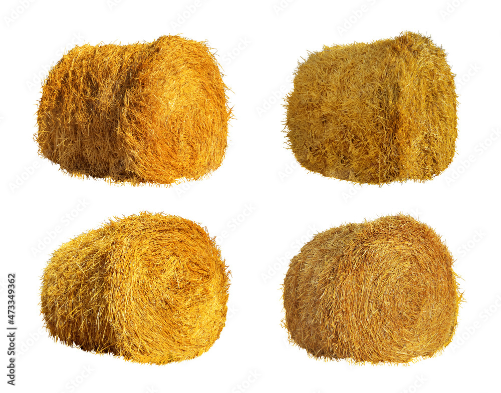 Poster Set with dried straw bales on white background