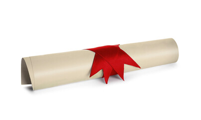 Rolled student's diploma with red ribbon isolated on white