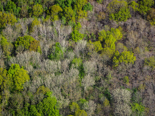 vue aérienne d'une forêt à Juziers dans les Yvelines en France