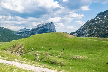 Fototapeta na wymiar Mountains peaks of Durmitor National Park, along which picturesque tourist road of Montenegro passes.