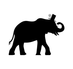 ms elephant silhouette vector