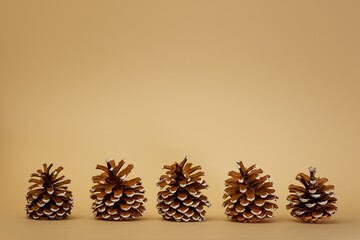 New Year cones on a beige background. Christmas background concept with copy space