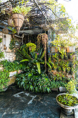 Przydomowy piękny ogródek, pełen zielonych roślin. Ładne naturalne tło - obrazy, fototapety, plakaty