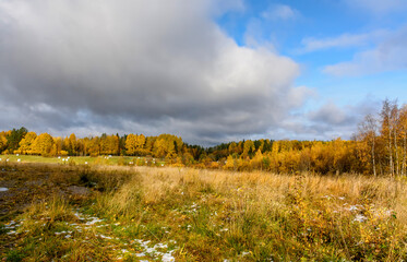 Obraz premium Autumn landscape in the Republic of Karelia.
