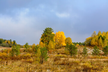 Fototapeta premium Autumn landscape in the Republic of Karelia.