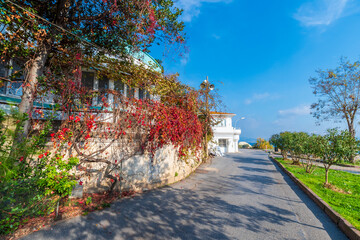 Burgazada Island street view in Istanbul