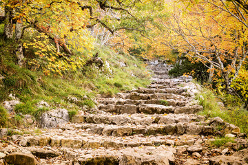 Escalier mystérieux vers le ciel en pierres naturelles avec marches irrégulières,  en sous-bois, en automne