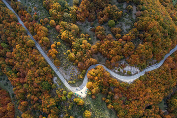 Obraz premium Vista aerea del bosco di Forca d'acero in Abruzzo. Un volo sopra i colori autunnali