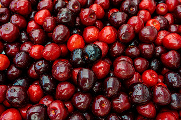 Background of fresh beautiful red cherries