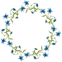 Decorative vector floral wreath from watercolor drawings of delicate wild bellflowers