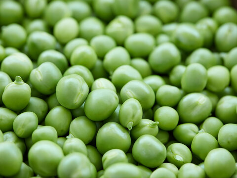 Freshly shelled peas