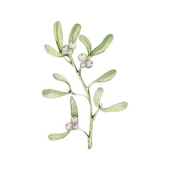 Watercolor Christmas traditional mistletoe berries and leaves clipart