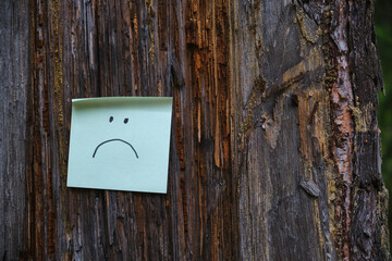 paper sticker with a sad smile glued to the trunk of a raw tree on a dark forest background