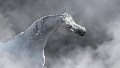 White arabian horse in light mist.