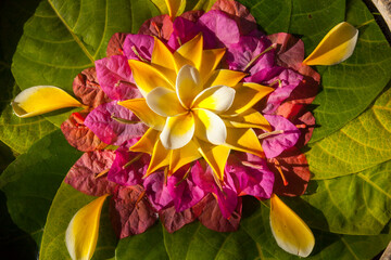 Fototapeta na wymiar Indonesien, Bali, dekorative Blumenschale