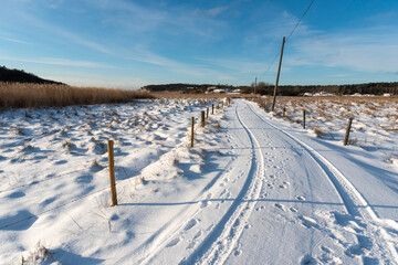 Fototapeta na wymiar Path in winter landscape