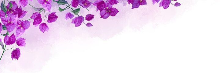 Corner frame of bougainvillea flower with delicate purple gradient on a white background. Hand drawn watercolor. Copy space.