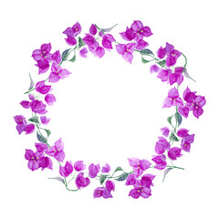 Fototapeta na wymiar Delicate round wreath of lilac bougainvillea flower. Isolated on white background. Hand drawn watercolor. Copy space