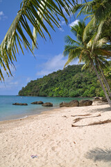 Obraz premium Palmenstrand