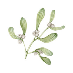 Watercolor Christmas traditional mistletoe berries and leaves clipart