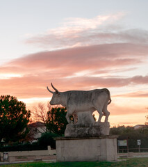Lev&eacute; de soleil sur une statue de taureau