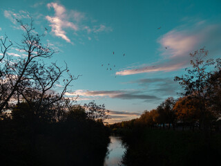 Arbres et rivi&egrave;re en Automne