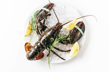 Fresh uncooked lobster in a plate solated on a white background. Top view