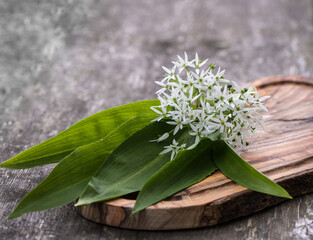 Wildes Knoblauch / Bärlauch / Allium ursinum mit Blüten in Nahaufnahme