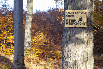 Tablica przestrzegająca przed wejściem na teren zrywki i ścinki drzew - obrazy, fototapety, plakaty