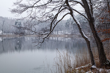 krajobraz zimowy z jeziorem