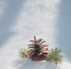 Christmas background with pine branches and cones on the snow, copy space. Merry christmas and happy new year celebration concept. winter. frosted evergreen branches and pine cones. winter background