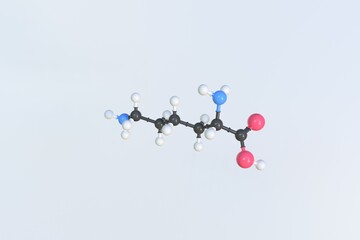 Lysine molecule, scientific molecular model, looping 3d animation